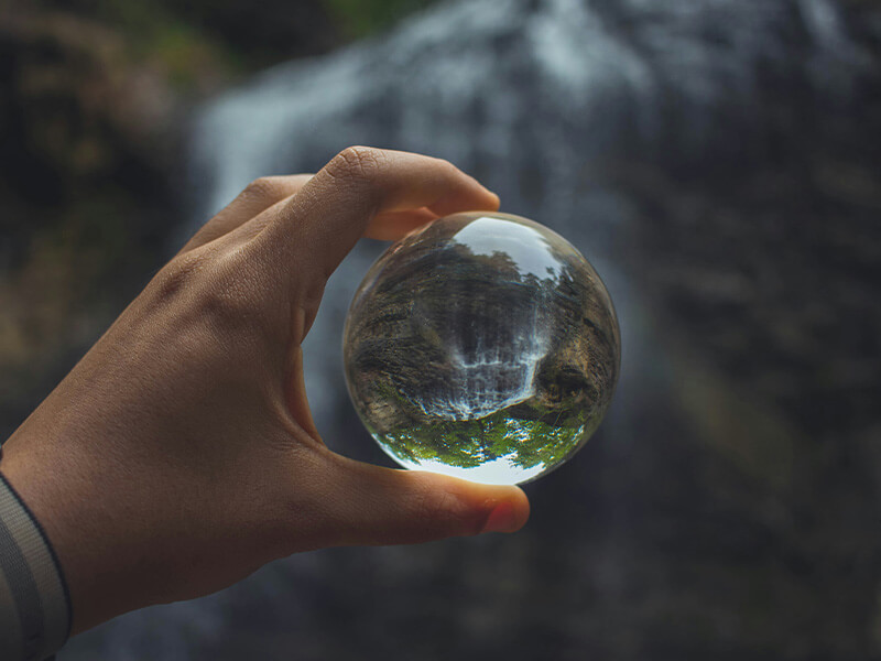 分野の粗い絞り込み（知的刺激を通じた興味関心の喚起）